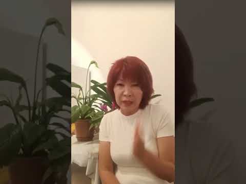 Видео: Ватцап 87782561077