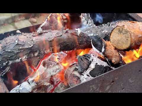 Видео: ШАШЛЫК с куриной печени