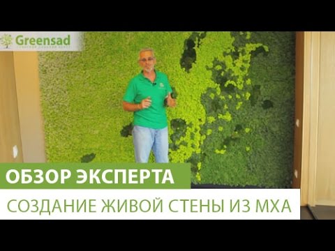 Видео: Создание живой стены из мха