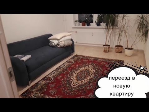 Видео: Переезд в новую квартиру