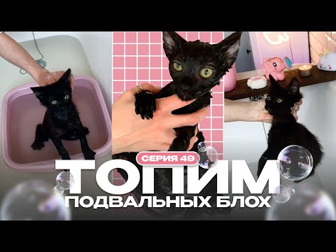Видео: Чернозёмчик купается и ищет мам и пап 🖤