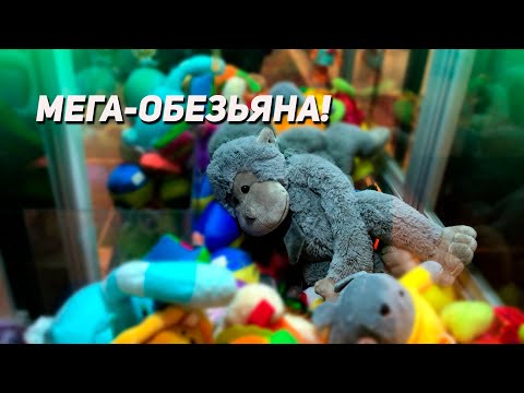 Видео: ОГРОМНАЯ ИГРУШКА в Аппарате Хватайка! Выиграем?