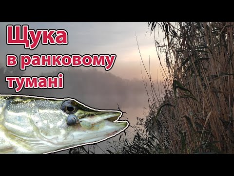 Видео: ЩУКА в ранковому ТУМАНІ осіння рибалка на щуку на річці