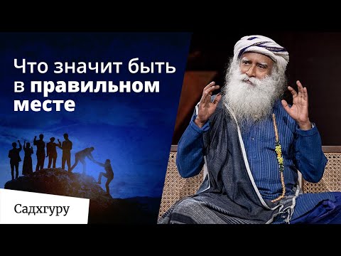 Видео: Как окружение влияет на тебя