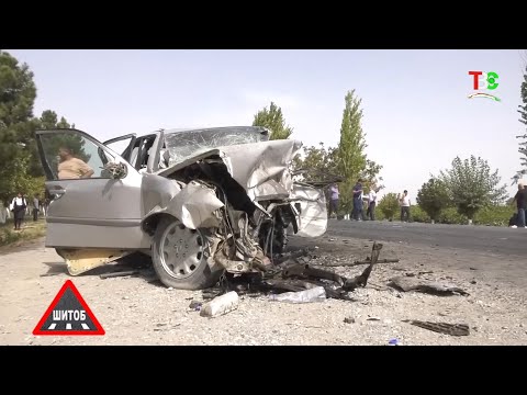 Видео: Ҳолати мастӣ дар садамаҳо  Барномаи Шитоб.  08.10.2025.