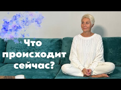 Видео: Что происходит сейчас?