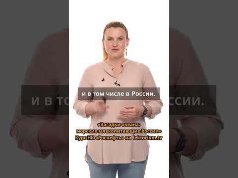 Видео: Ластоногие обитатели пресных водоемов #тюлени #роснефть #ластоногие #байкальскаянерпа