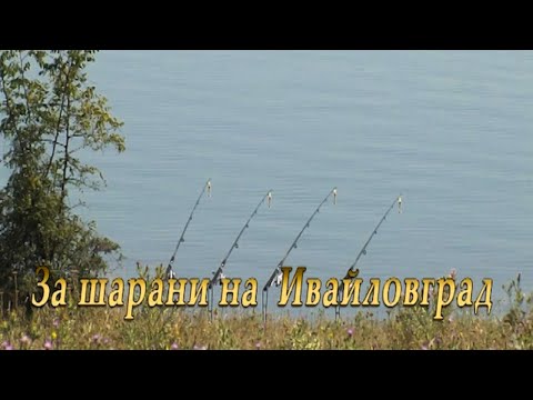 Видео: Монтажи за диви шарани на Ивайловград