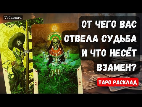 Видео: 💥 ОТ ЧЕГО ВАС ОТВЕЛА СУДЬБА И ЧТО НЕСЁТ ВЗАМЕН? 💥🎀⭐️ Таро гадание онлайн