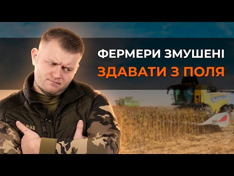 Видео: ЧОМУ ФЕРМЕРИ ЗМУШЕНІ ЗДАВАТИ ЗЕРНО З ПОЛЯ?🤔