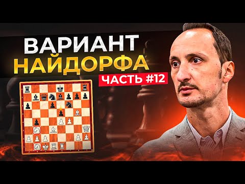 Видео: Сицилианская защита. Вариант Найдорфа. Камский - Топалов. Уроки шахмат.