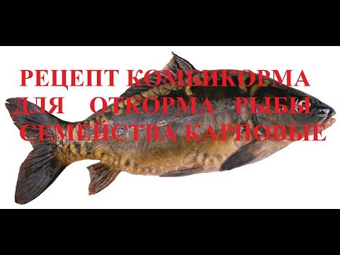 Видео: Рецепт комбикорма для откорма рыб семейства Карповые