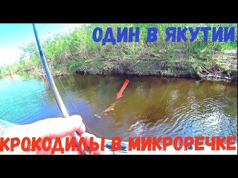 Видео: ДА СКОЛЬКО ЖЕ ЕЕ В ЭТОЙ МИКРОРЕЧКЕ!!! ЭТО КРОКОДИЛЫ ПРОСТО!!! Один в Якутии!!!