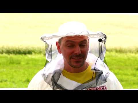 Видео: Пасечник №14 - Лечение органической химией