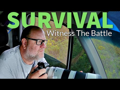 Видео: VAN LIFE ЮЖНАЯ АФРИКА: Борьба с фургоном привела к истории выживания