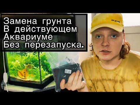 Видео: Замена грунта в действующем аквариуме без перезапуска.Меняем кварцевый грунт на пропант.