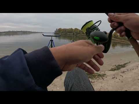 Видео: р.ДНІПРО . РОЗПОЧАВСЯ ХІД  ПЛОТВИ НА ЗЕЛЕНОМУ 2025