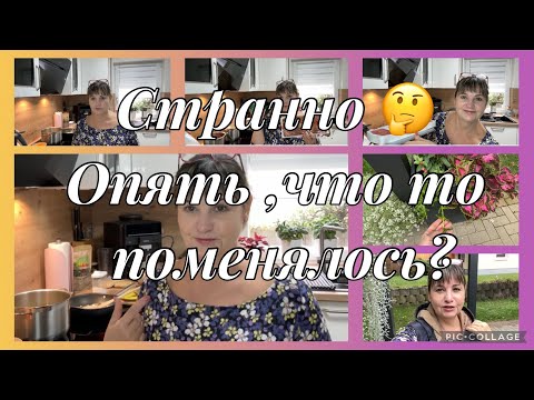 Видео: Срочно,собралась🙈странно опять,что то поменялось?обзор моих осенних цветов,не мою!мозги съела сама😂