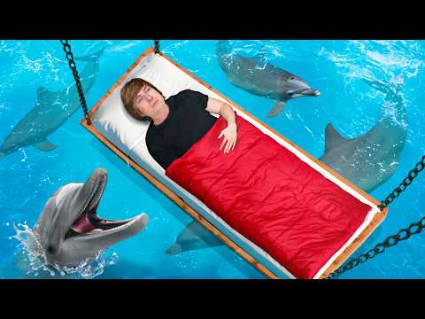 Видео: Ночевка в самом экстремальном отеле в мире