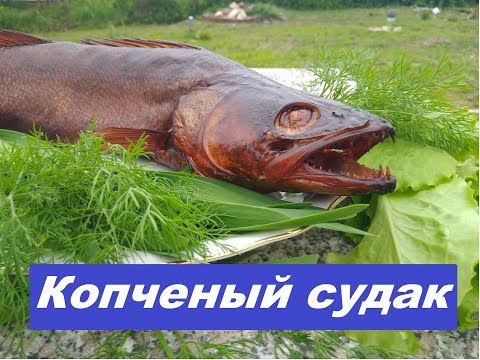 Видео: Судак горячего копчения