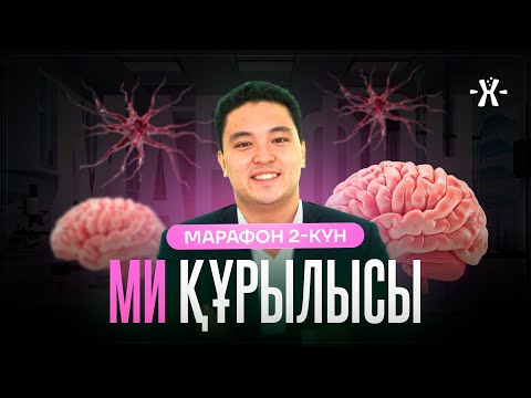 Видео: МИ ҚҰРЛЫСЫ | Берік ағай | mezhdunamihimia