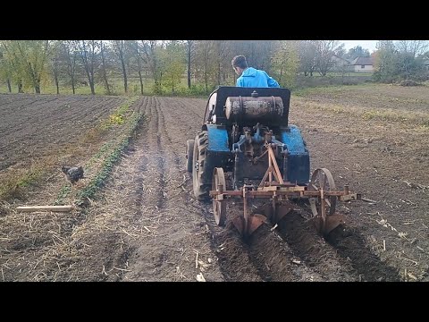 Видео: Пора садити часник. Крайня площа посаджена.
