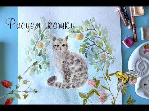 Видео: Как нарисовать кошку поэтапно. Рисуем акварелью и карандашами