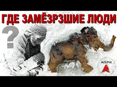 Видео: Вот почему рядом с ЗАМЁРЗШИМИ МАМОНТАМИ нет ЗАМЕРЗШИХ ЛЮДЕЙ