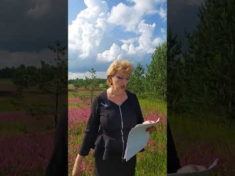 Видео: Бродячий скот. Что это? Ответ здесь!