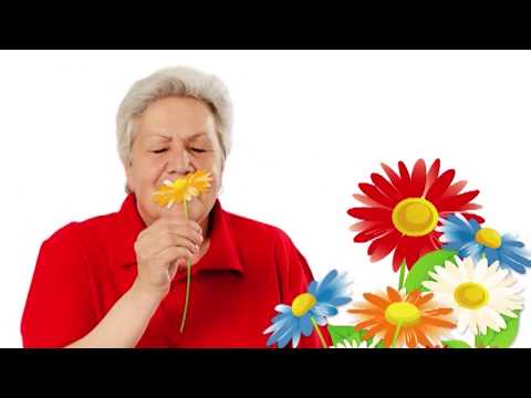 Видео: Голова садовая - Пиретрум! Безопасное уничтожение насекомых! 2 часть