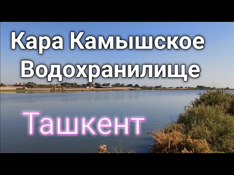 Видео: Ташкент,Назарбек, Кара-Камышское водохранилище или рыбный промысел в Узбекистане.