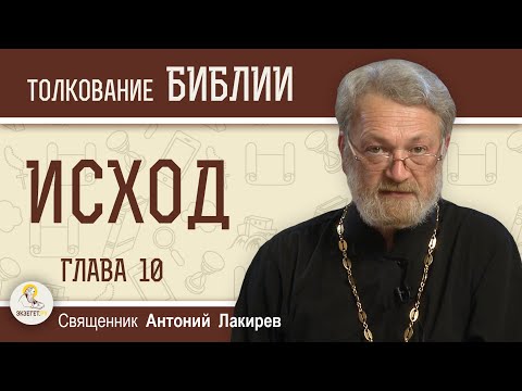 Видео: Исход. Глава 10 "Саранча и тьма"  Священник Антоний Лакирев
