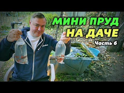 Видео: Мини пруд на даче. Часть 6. Переселение рыбы обратно в аквариумы. Итоги.