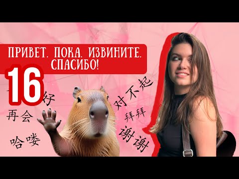 Видео: Китайский с нуля. Урок 16. ФРАЗЫ ВЕЖЛИВОСТИ.
