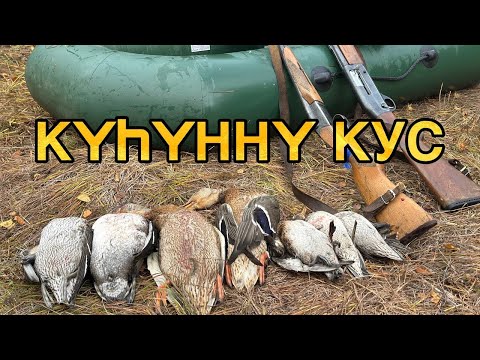 Видео: УОЛАТТАРБЫН КЫТТА АЙЫЛҔАҔА| КҮҺҮҤҤҮ КУС| ГОРНАЙ УЛУУҺА| САХА СИРЭ 2025