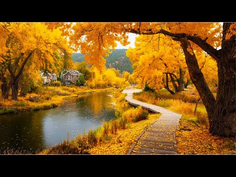 Видео: СНОВА ОСЕНЬ🍁 Сборник ЛУЧШИХ Мелодий от которых мурашки по телу! Мелодия Души! Осень в сердце