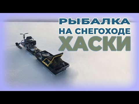 Видео: Проехал 15 км. В поисках трофейного окуня.