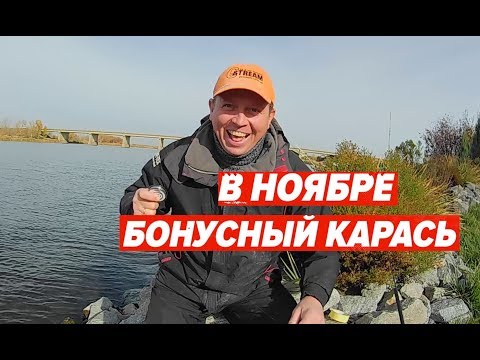 Видео: Бонусный карась в ноябре.