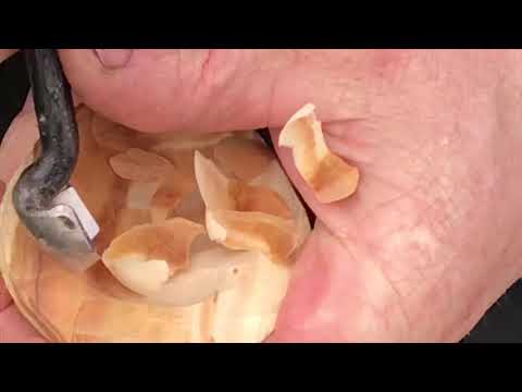 Видео: Вишнёвая ложка. Cherry wood spoon.