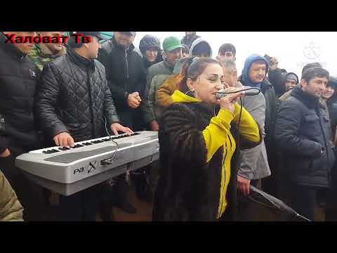 Видео: Дар буз каши Н Фархор бехтари сарояндахои Фархоро овардан то охирша тамошо кунен лайка шатакать зан