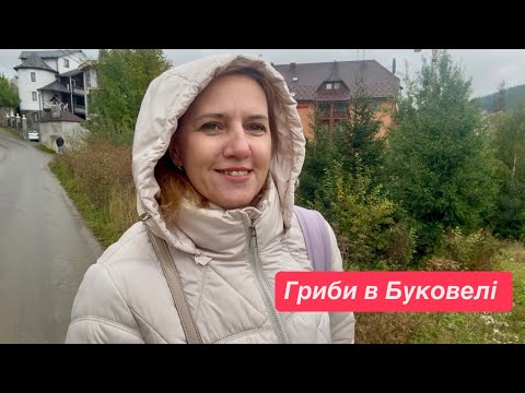 Видео: Чи є гриби в Буковелі 