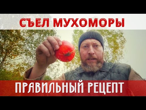 Видео: ПРИГОТОВИЛ МУХОМОРЫ ПРАВИЛЬНО И СЪЕЛ! КАК ГОТОВИТЬ МУХОМОРЫ!