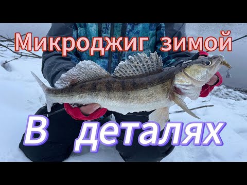 Видео: МИКРОДЖИГ зимой. ТОП 5 ПРИМАНОК. РАЗБОР Shimano Vanford C2000S. Каким ШНУРОМ Ловить ЗИМОЙ. В ДЕТАЛЯХ