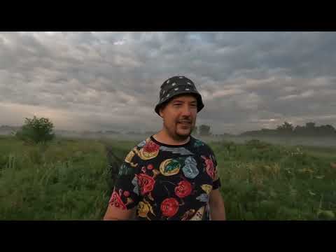 Видео: Кровохлёбка. Чем же так полезно растение. Разбор и история использования кровохлёбки.