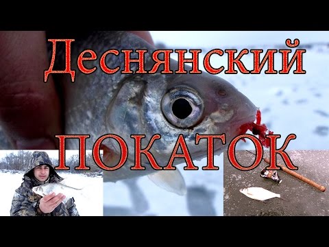 Видео: Деснянский покаток