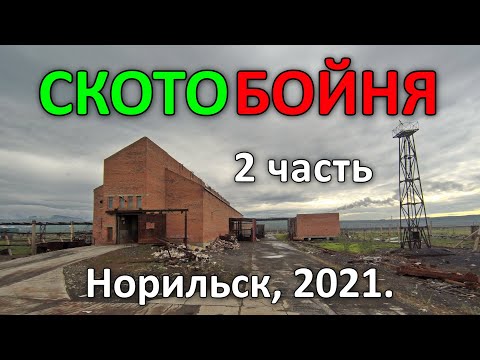 Видео: Заброшенная Скотобойня. 2 часть из 4-х. Норильск (2021).
