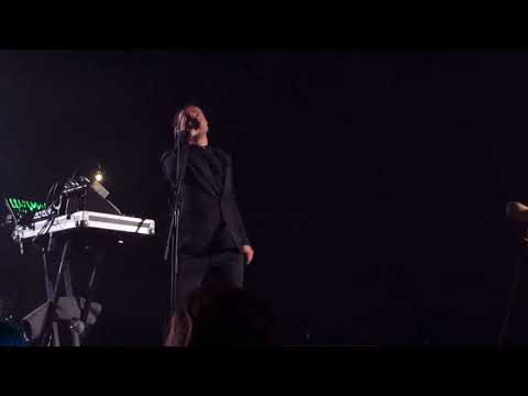 Видео: Дельфин | Dolphin - Собака