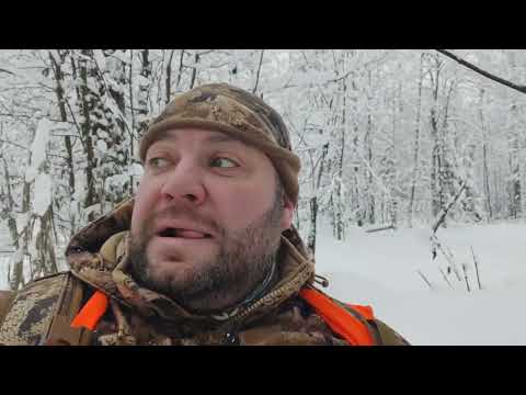 Видео: в поисках лосей! @duckmania