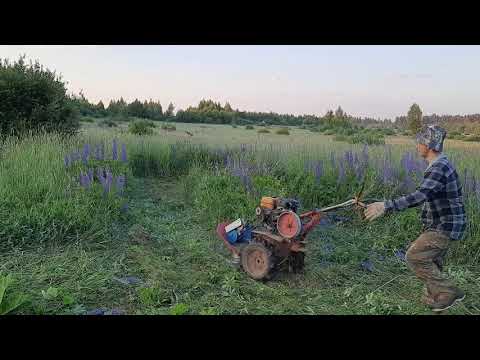 Видео: Косилка нева кр-05. 3 Косим  старое запущенное поле.