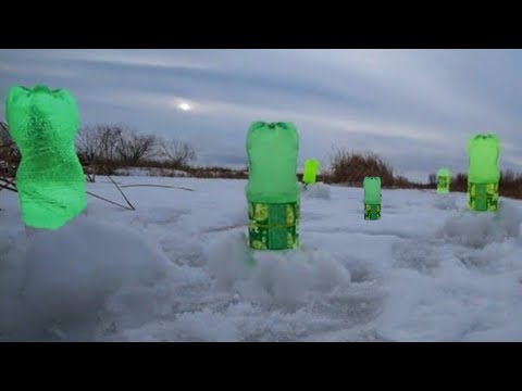 Видео: Этот метод рыбалки просто взорвал интернет!!! Ты не поверишь, что произошло!!! Подводная съёмка!!!